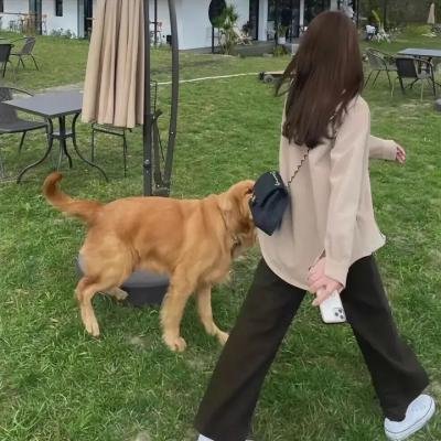 小李飞刀