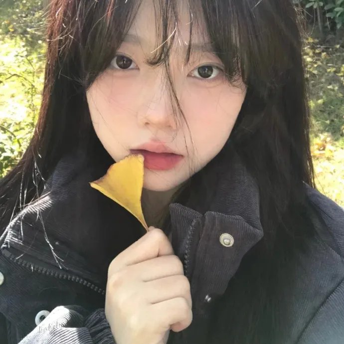 藏